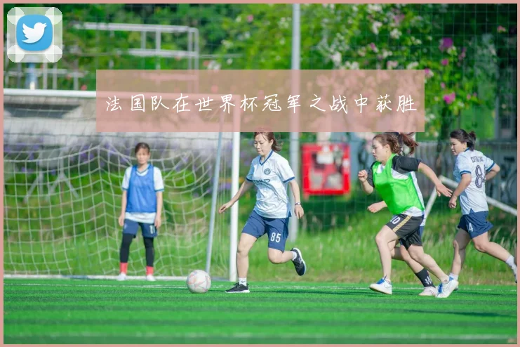 法国队在世界杯冠军之战中获胜