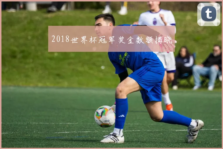 2018世界杯冠军奖金数额揭晓