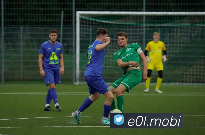 开云(中国)Kaiyun·官方网站 - 登录入口服务体系