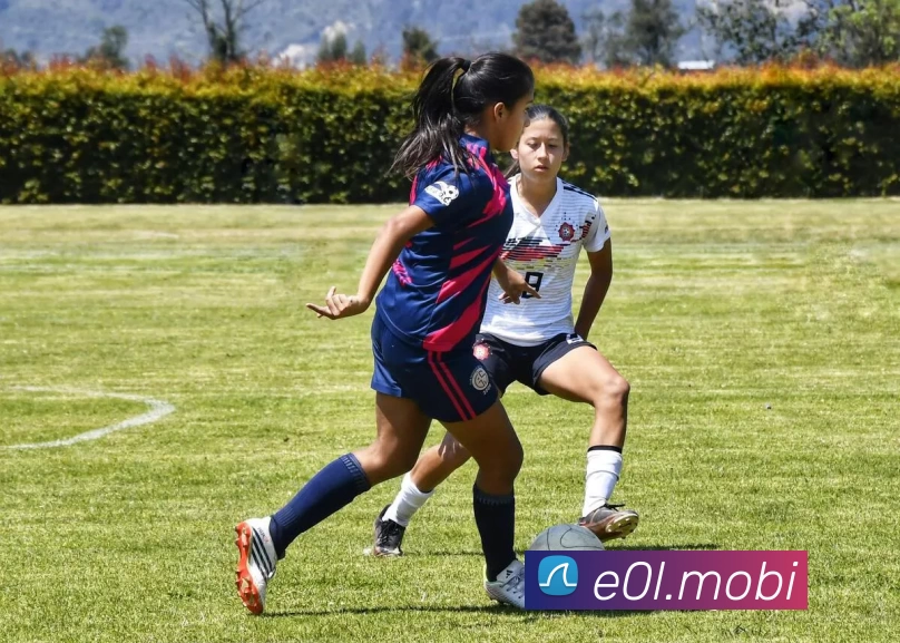 开云(中国)Kaiyun·官方网站 - 登录入口APP 体育赛事宣传图